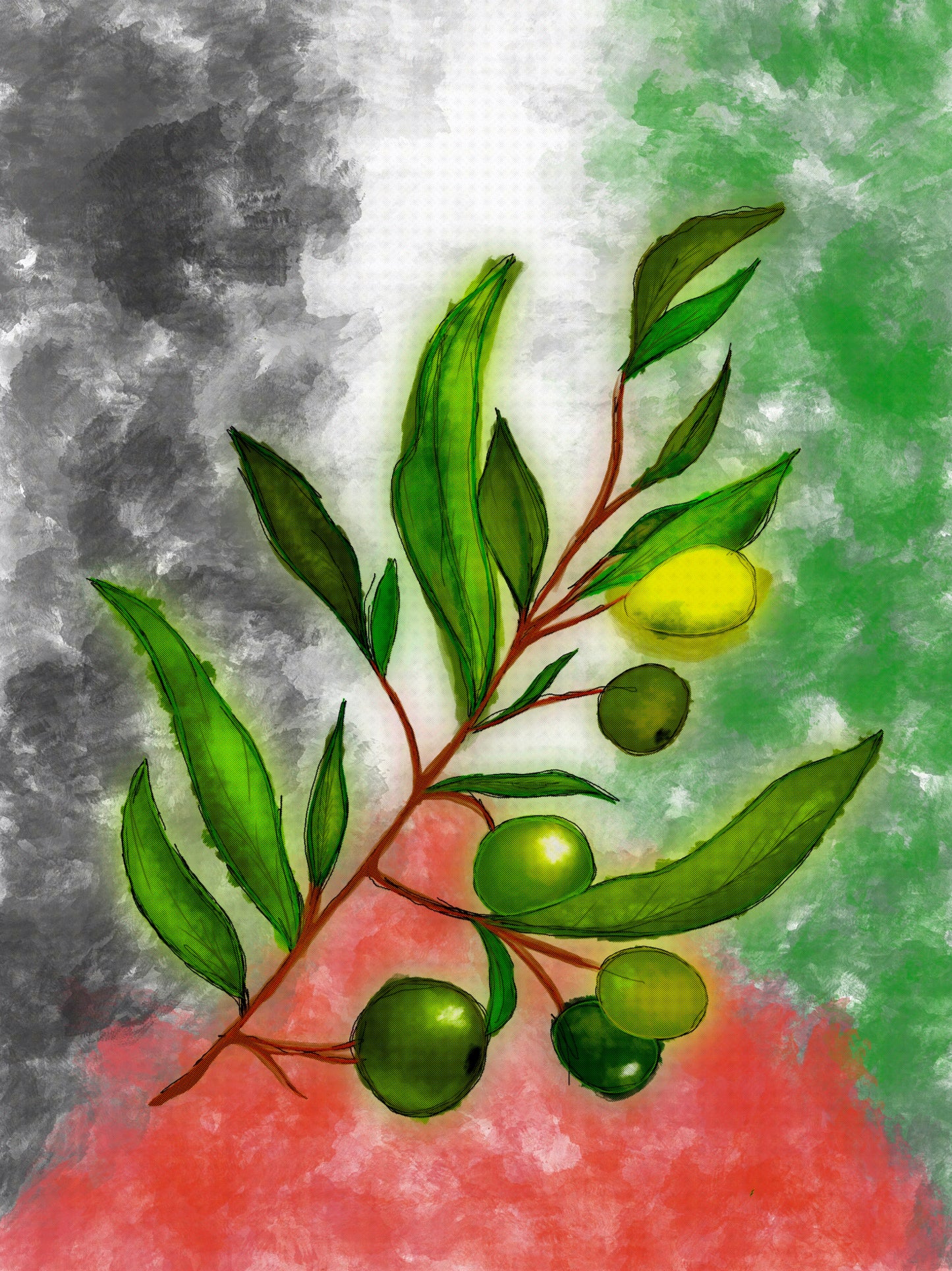 Olive Tree